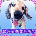 上傳會員：暴力明人
下載次數：84